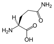 L-glutamin v keto dietě